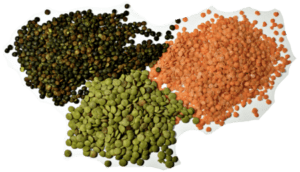 Different Types of Dal