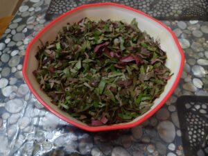 ponnanganni cheera thoran 2