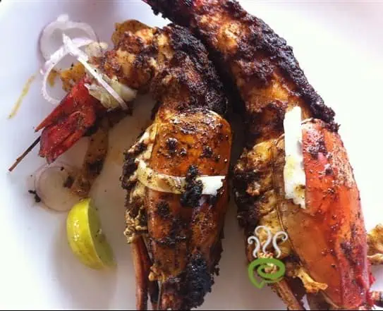 new prawn fry