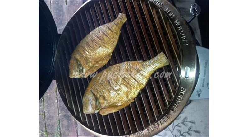 Easy Tasty Healthy Grilled Fish