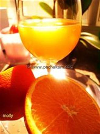 Orange Cocktail