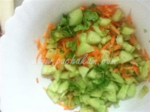 Yoghurt Salad – pachakam.com