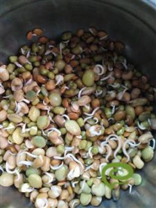 Sprouted Grams Salad – pachakam.com