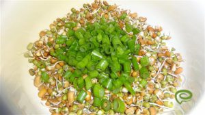 Sprouts Salad – pachakam.com