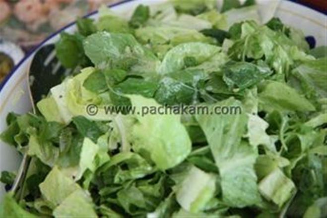 Salad Greens With Citrus Yogurt Dressing