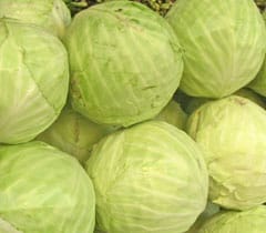 Cabbage – pachakam.com