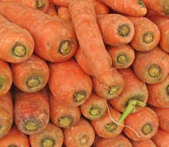 Carrot – pachakam.com