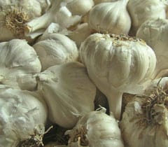 Garlic – pachakam.com