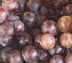 Currants/ Grape – pachakam.com