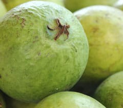 Guava – pachakam.com