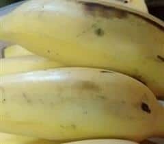 Banana – pachakam.com