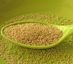 Seeds meaning in gujarati
