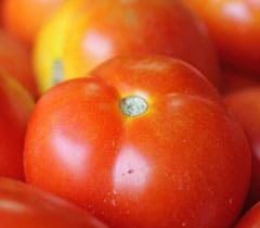 Tomato – pachakam.com