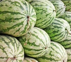 Water Melon – pachakam.com
