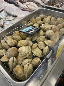 Clams