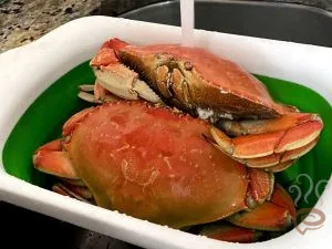 Crab