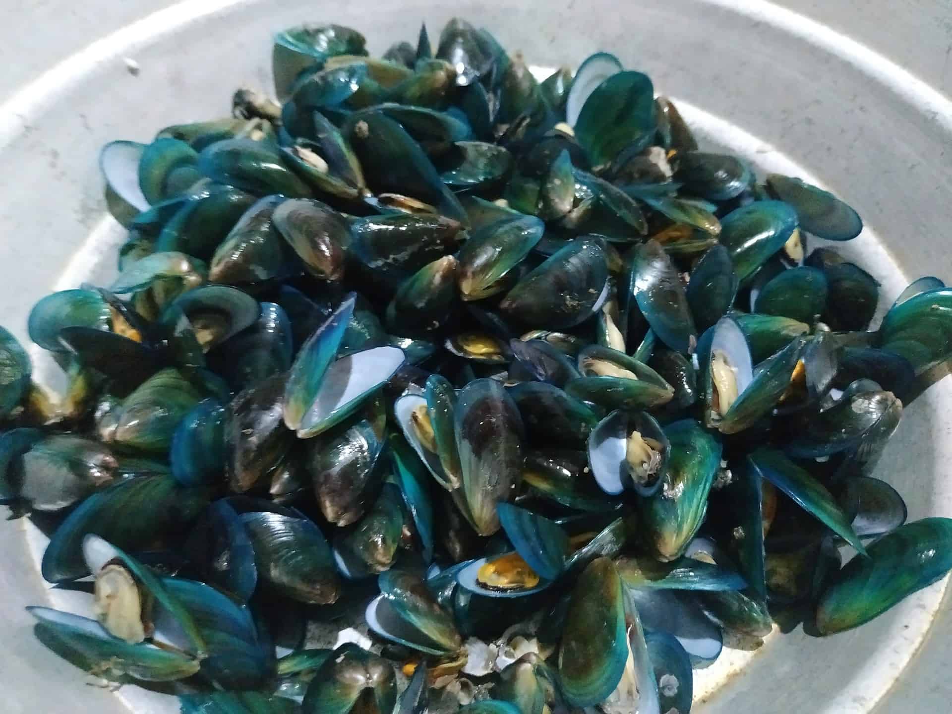 Kerala Style Mussel Fry Kallumakaya Fry Recipe