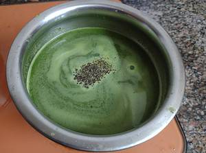 Naadan Cheera Ela Soup | Spinach Leaves Soup – pachakam.com