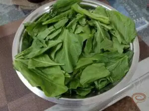 Image No.1