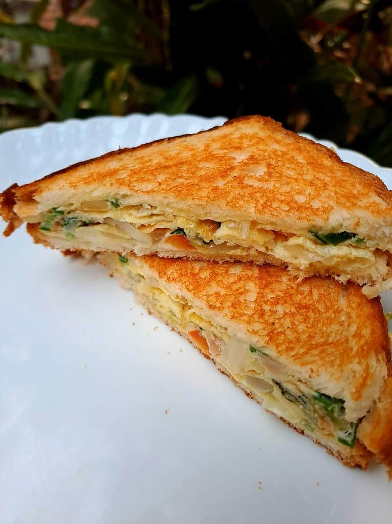 Egg Cheese Sandwich | Cheese Omelette Sandwich