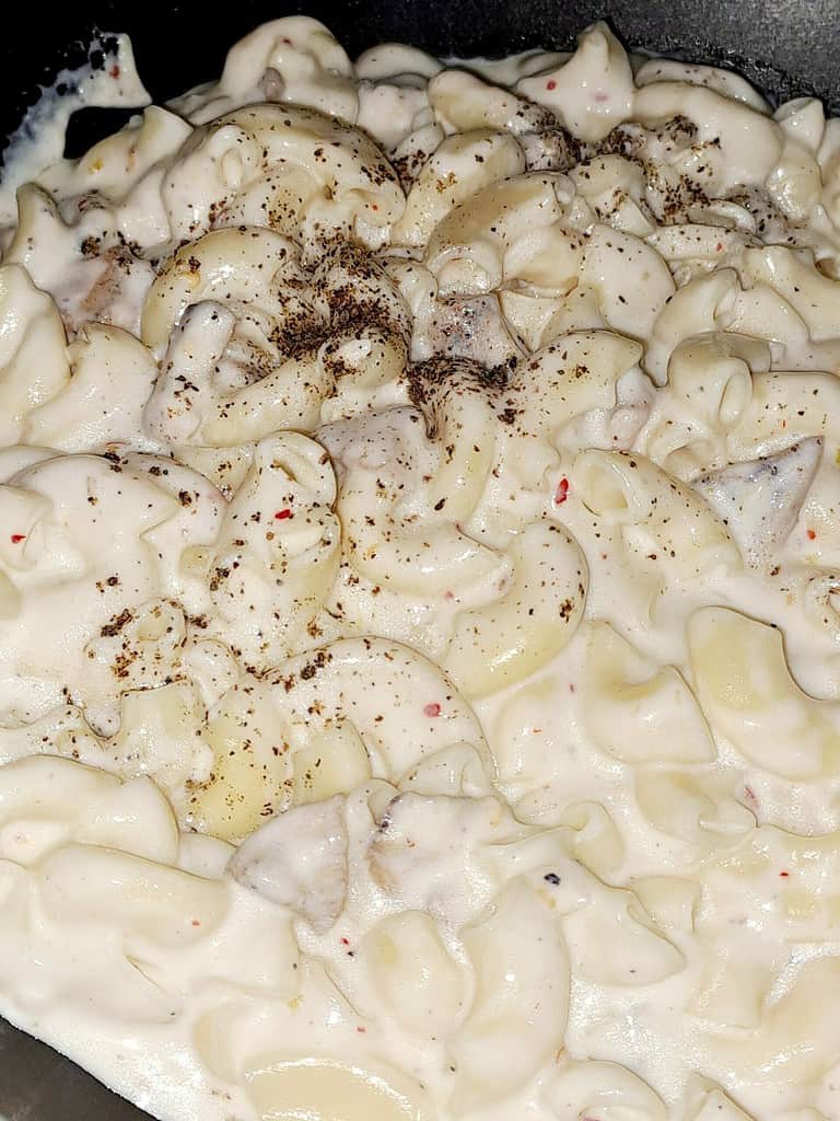 Chicken Pasta | Cheesy White Sauce Chicken Pasta | Creamy Garlic Chicken Pasta