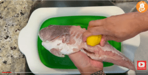fish 1