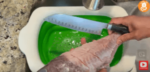 fish 3