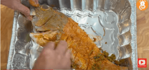 fish 6