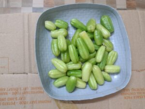 irumban 1